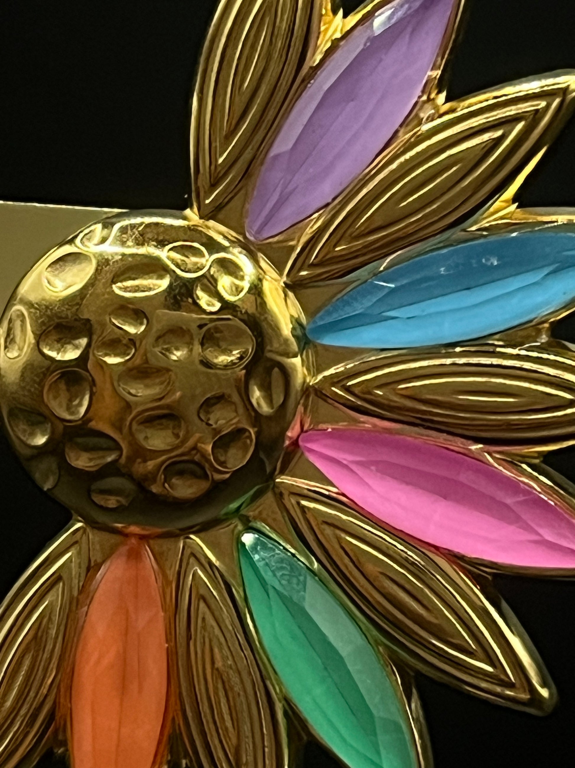 marguerites multi-couleurs