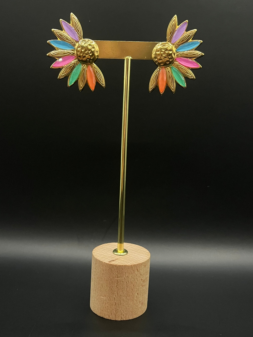 marguerites multi-couleurs