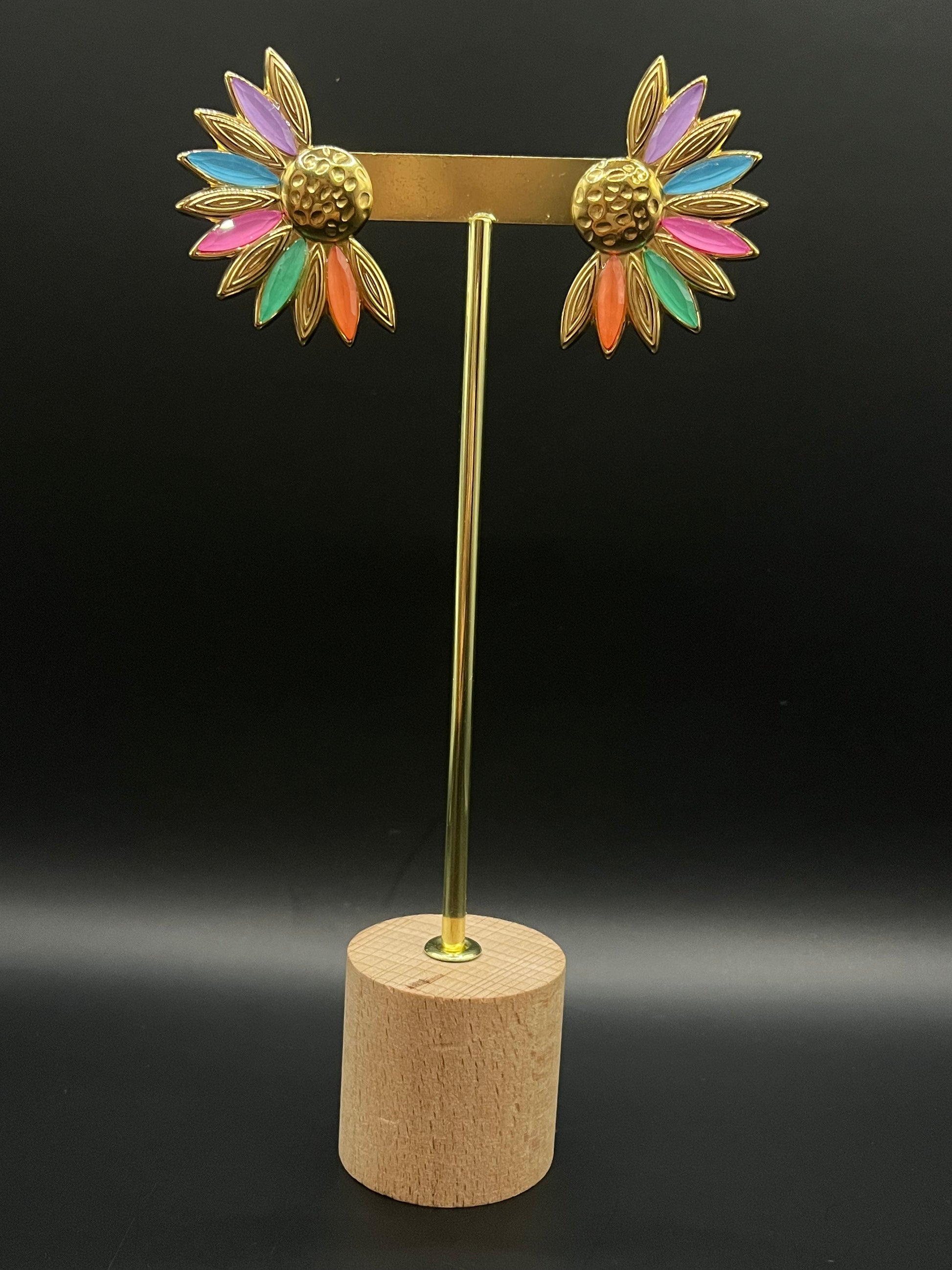 marguerites multi-couleurs